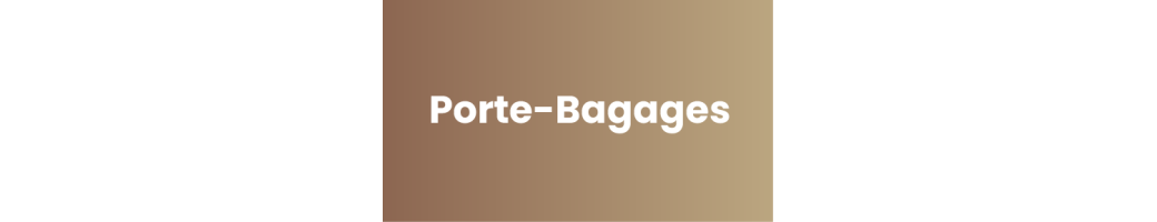 Porte-bagages